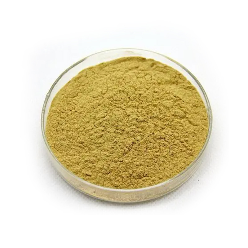 Polisuccinimida CAS#5608-40-6