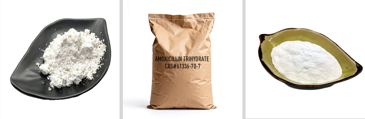 Amoxicillin trihydrate CAS#61336-70-7 Amoxicillin trihydrate CAS#61336-70-7
