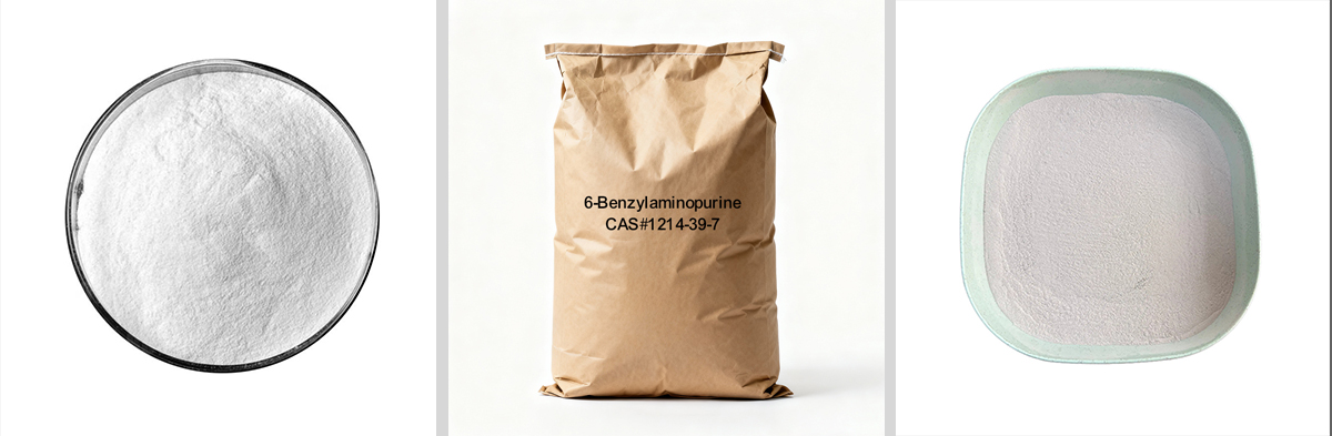 6-Benzylaminopurine CAS#1214-39-7 6-Benzylaminopurine CAS#1214-39-7