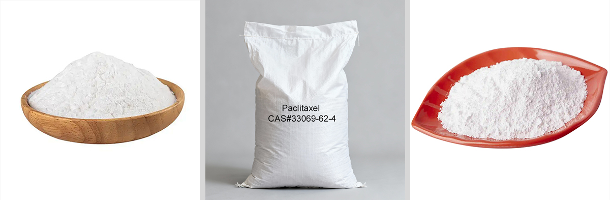 Paclitaxel, numéro CAS : 33069-62-4
