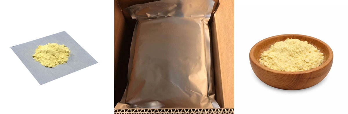 Ginkgo biloba extract CAS#90045-36-6