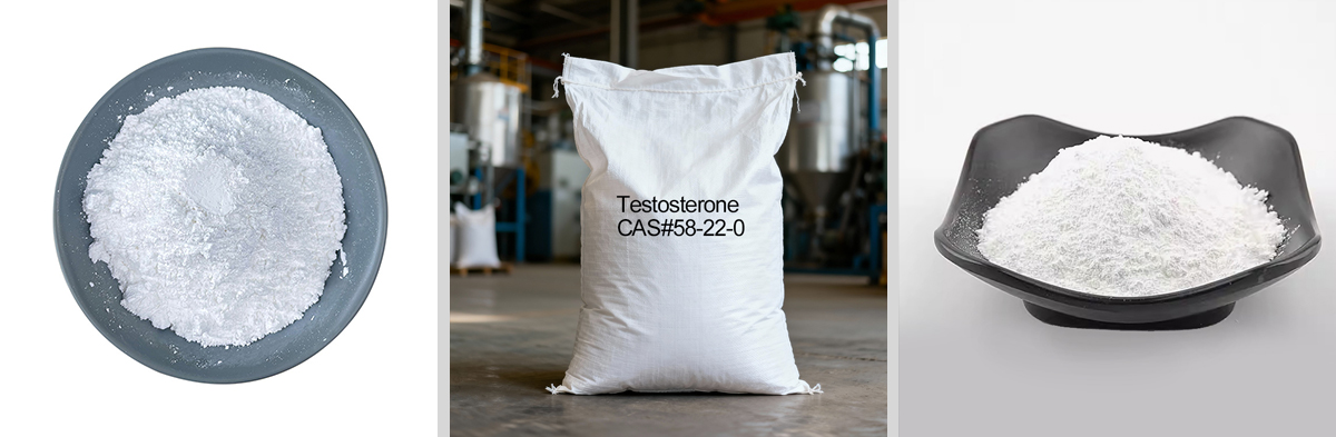Testosterone CAS#58-22-0 Testosterone CAS#58-22-0