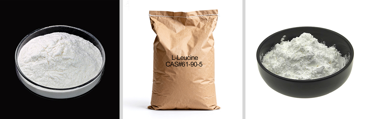 L-Leucina CAS#61-90-5 L-Leucina CAS#61-90-5