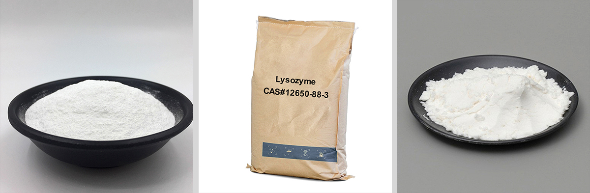 Lysozym CAS-Nr. 12650-88-3