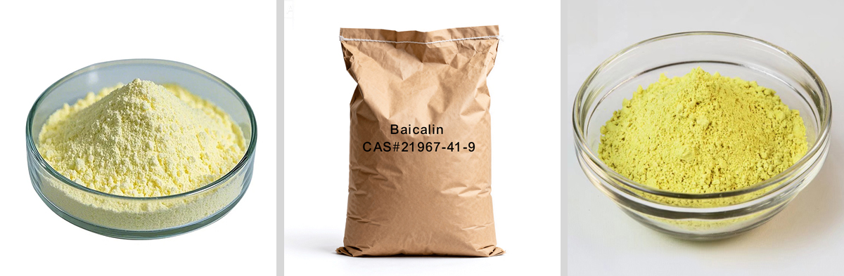 Baicalin CAS # 21967-41-9 Baicalin CAS # 21967-41-9