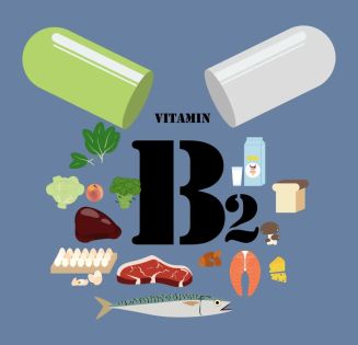 Vitamin B2 (CAS#83-88-5) 