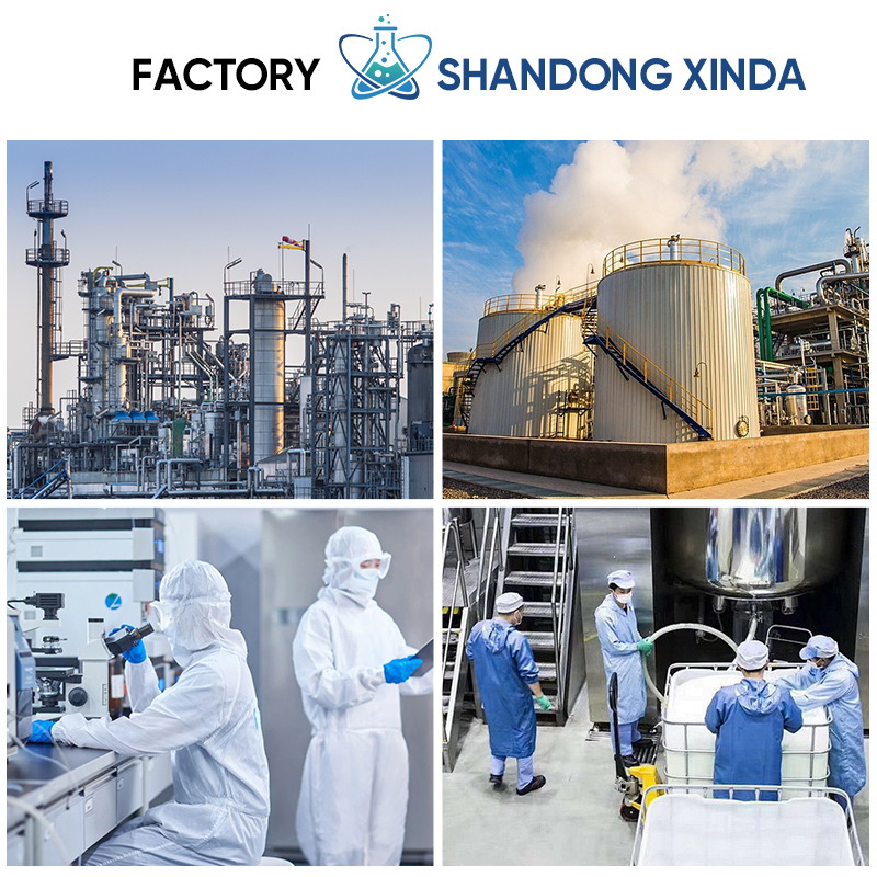 Vitamine B12 CAS n° 68-19-9