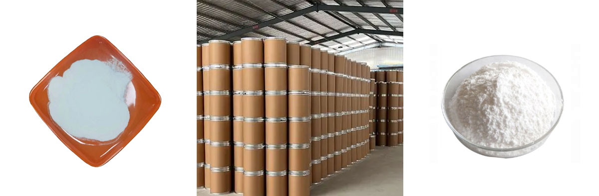 Acide rosmarinique CAS n° 20283-92-5